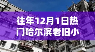 哈尔滨老旧小区改造探析，聚焦往年12月1日的热点话题