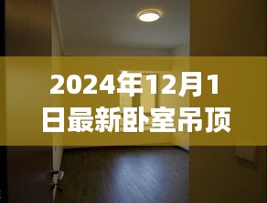 2024年12月2日 第31页