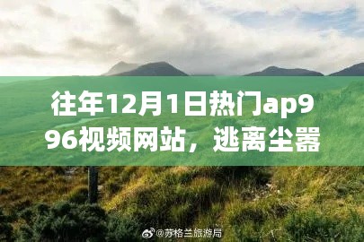 往年12月1日热门视频网站，追寻心灵宁静的自然美景之旅