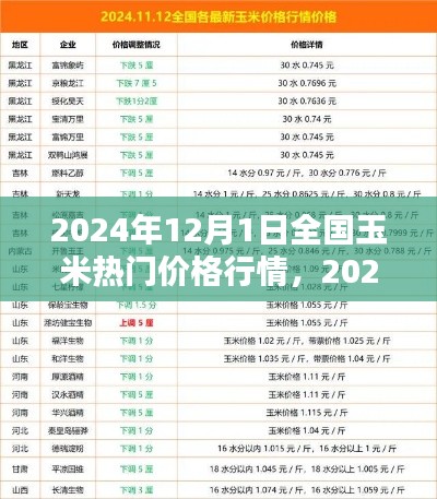 2024年12月全国玉米热门价格行情详解及趋势分析