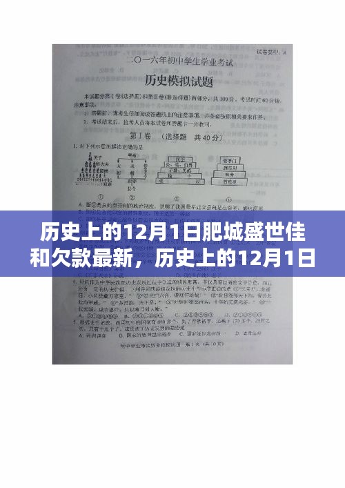 肥城盛世佳和欠款最新深度评测与介绍，历史上的最新进展及深度分析。