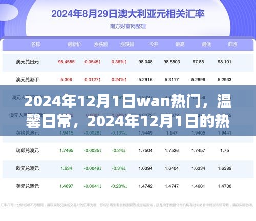 2024年12月1日wan热门，温馨日常，2024年12月1日的热门趣事与友情盛宴