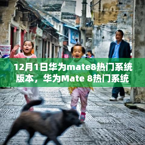 华为Mate 8热门系统版本探秘，巷弄深处的隐藏宝藏揭秘