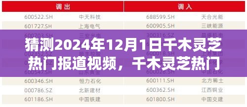 揭秘千木灵芝，深度解析与全新体验，预测2024年12月1日热门报道视频重磅出炉！