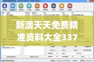 新澳天天免费精准资料大全337期,数据导向实施_限定版35.247-3