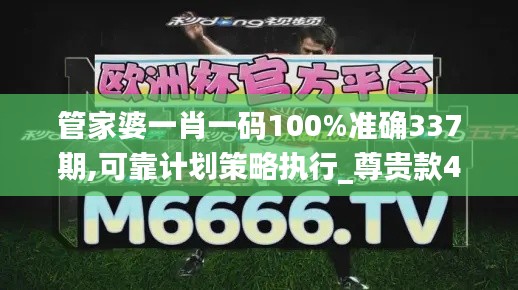 管家婆一肖一码100%准确337期,可靠计划策略执行_尊贵款47.275-3