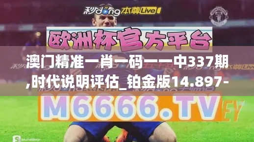 澳门精准一肖一码一一中337期,时代说明评估_铂金版14.897-3