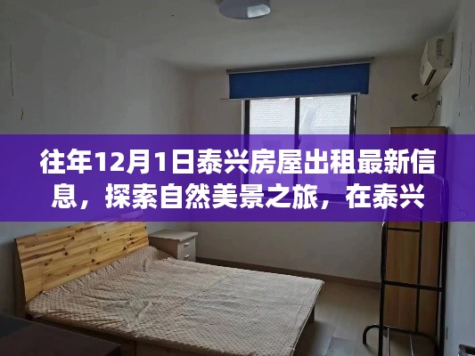 探索泰兴美景，最新房屋出租信息与内心宁静之旅