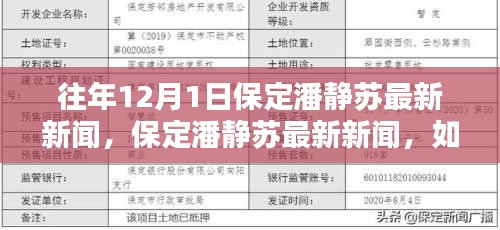 往年12月1日保定潘静苏最新新闻报道及获取分析步骤指南