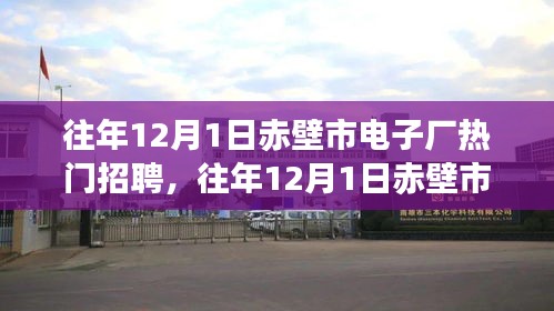 2024年12月2日 第9页