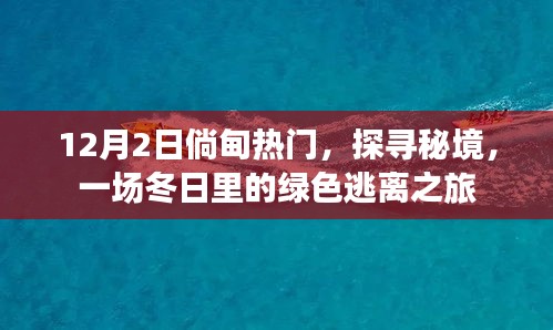 冬日绿色逃离之旅，秘境倘甸探寻之旅