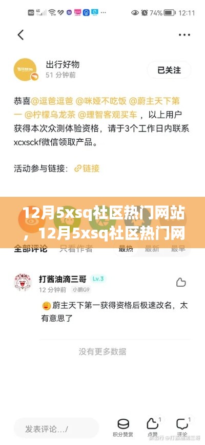 12月5xsq社区热门网站使用指南，成为社区达人的一步一步