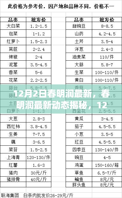 春明润最新动态揭秘，12月2日精彩抢先看