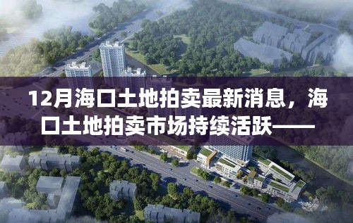 12月海口土地拍卖市场持续活跃，最新动态解析与消息