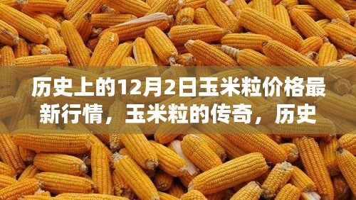 玉米粒传奇，历史上的12月2日价格深度解析与最新行情回顾