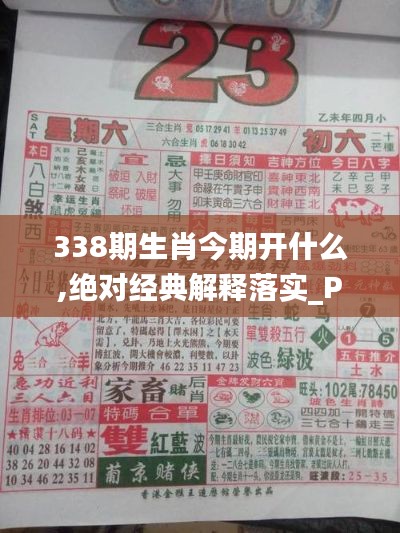 338期生肖今期开什么,绝对经典解释落实_P版98.139-6