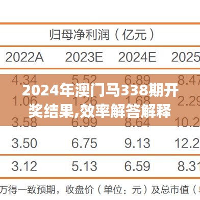 2024年澳门马338期开奖结果,效率解答解释落实_定制版31.333-8