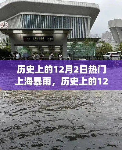 历史上的12月2日上海罕见暴雨事件深度解析与回顾