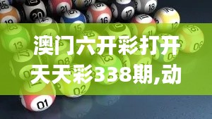 澳门六开彩打开天天彩338期,动态调整策略执行_黄金版79.262-2