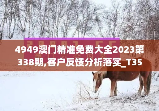 4949澳门精准免费大全2023第338期,客户反馈分析落实_T35.817-3