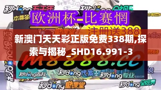 新澳门天天彩正版免费338期,探索与揭秘_SHD16.991-3