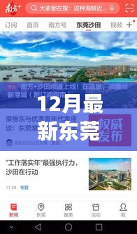 东莞沙田，12月新篇章——变化中的学习与自信闪耀