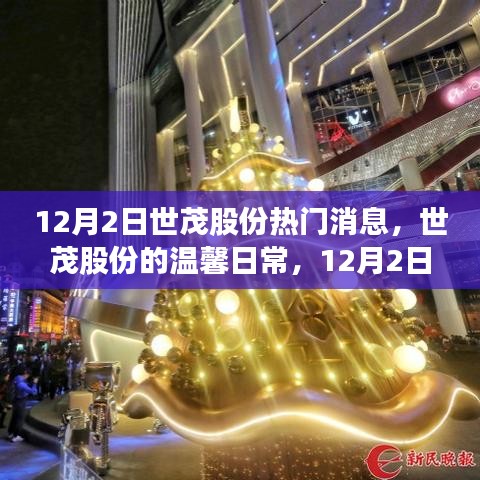 世茂股份12月2日温馨日常与深厚友情见证的奇遇时刻