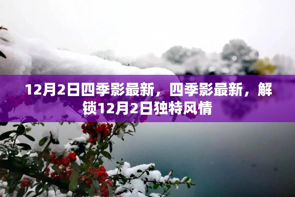 四季影最新，解锁独特风情，领略12月2日新风貌