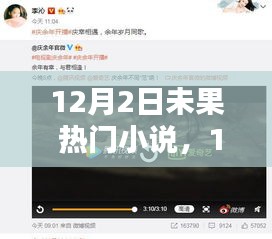 热门小说深度解析，12月2日未果