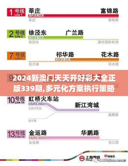 2024新澳门天天开好彩大全正版339期,多元化方案执行策略_X版9.689-3