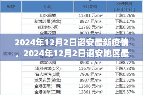 2024年12月2日诏安地区最新疫情动态分析与通报