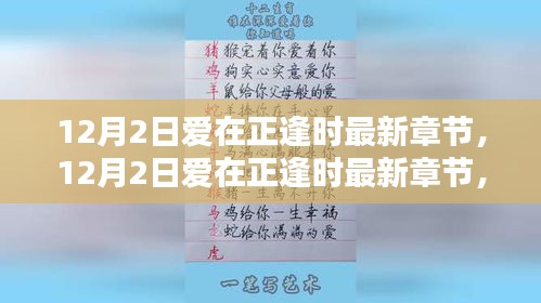 12月2日爱在正逢时最新章节深度测评与介绍