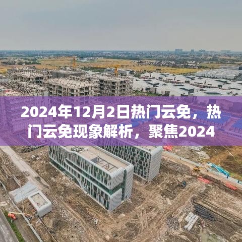 2024年12月2日热门云免现象深度解析与观点洞察