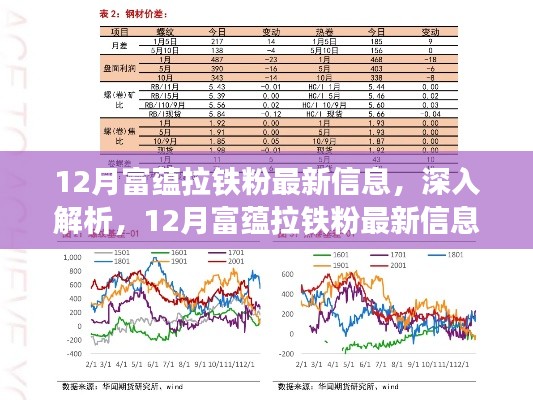 12月富蕴拉铁粉最新信息及评测报告深度解析