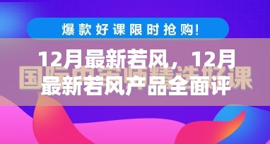 最新评测，若风产品全面介绍与深度体验