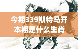 今期339期特马开本期是什么生肖,精细化执行计划_Z70.534-1