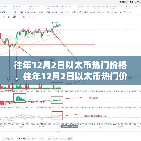 2024年12月4日 第11页