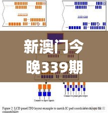 新澳门今晚339期必开一肖一特,数据驱动策略设计_黄金版121.252-5