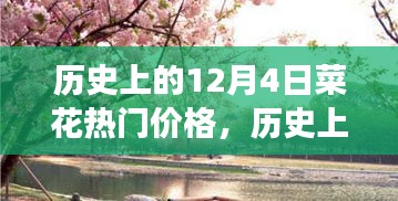 探寻菜花黄金时代，历史上的12月4日热门价格与心灵之旅的宁静平和