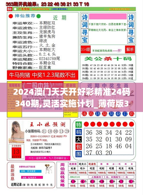 2024澳门天天开好彩精准24码340期,灵活实施计划_薄荷版38.599-2