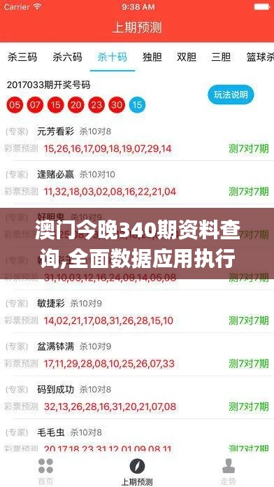 澳门今晚340期资料查询,全面数据应用执行_钱包版66.624-7