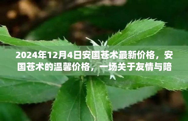 安国苍术最新价格，一场友情与陪伴的奇妙旅程的温馨价格通知