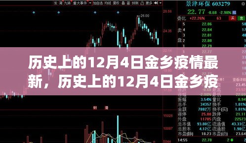 历史上的12月4日金乡疫情最新动态，深度解析与案例剖析