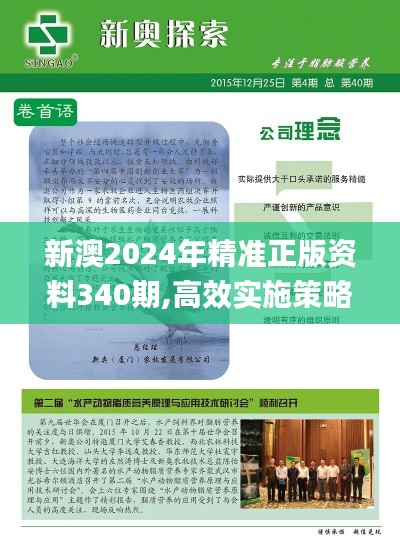 新澳2024年精准正版资料340期,高效实施策略设计_限量版27.645-8