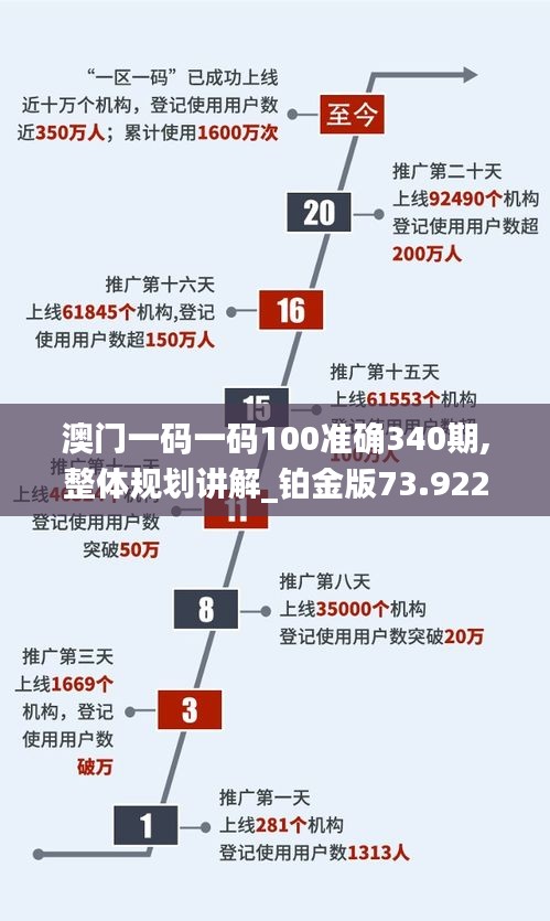 澳门一码一码100准确340期,整体规划讲解_铂金版73.922-2