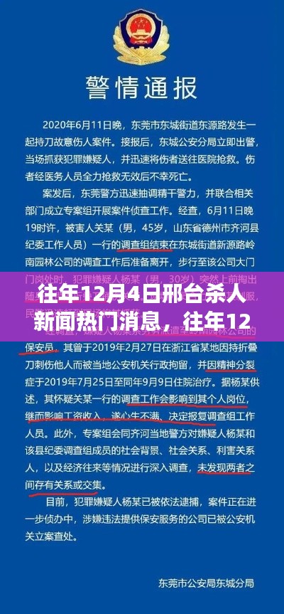 邢台杀人案揭秘，深度解析与事件回顾，多角度视角看事件回顾往年12月4日新闻热点