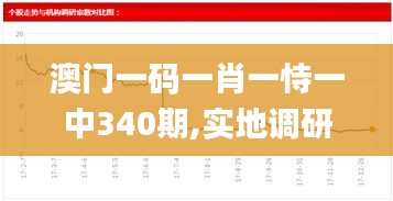 澳门一码一肖一恃一中340期,实地调研解释定义_黄金版145.311-9