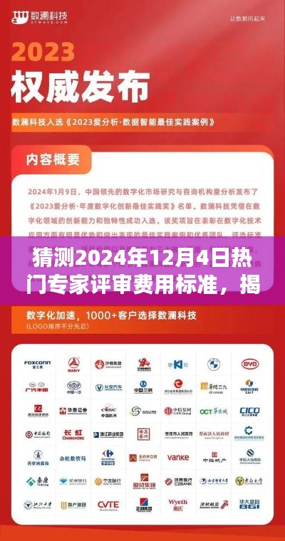 揭秘未来之门，深度解析与预测2024年专家评审费用标准