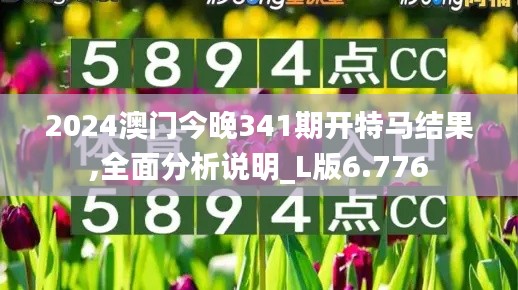 2024澳门今晚341期开特马结果,全面分析说明_L版6.776