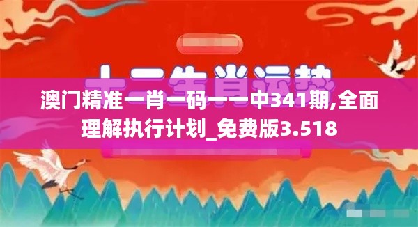 澳门精准一肖一码一一中341期,全面理解执行计划_免费版3.518